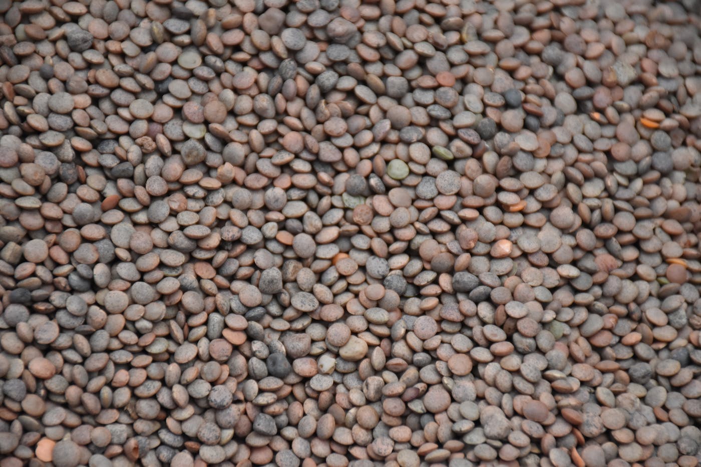 Pulses & Lentils