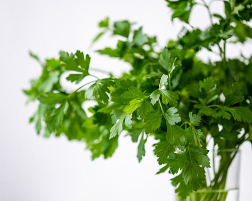 Parsley